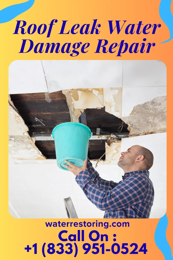 Roof Leak Water Damage Repair in Lilly, PA