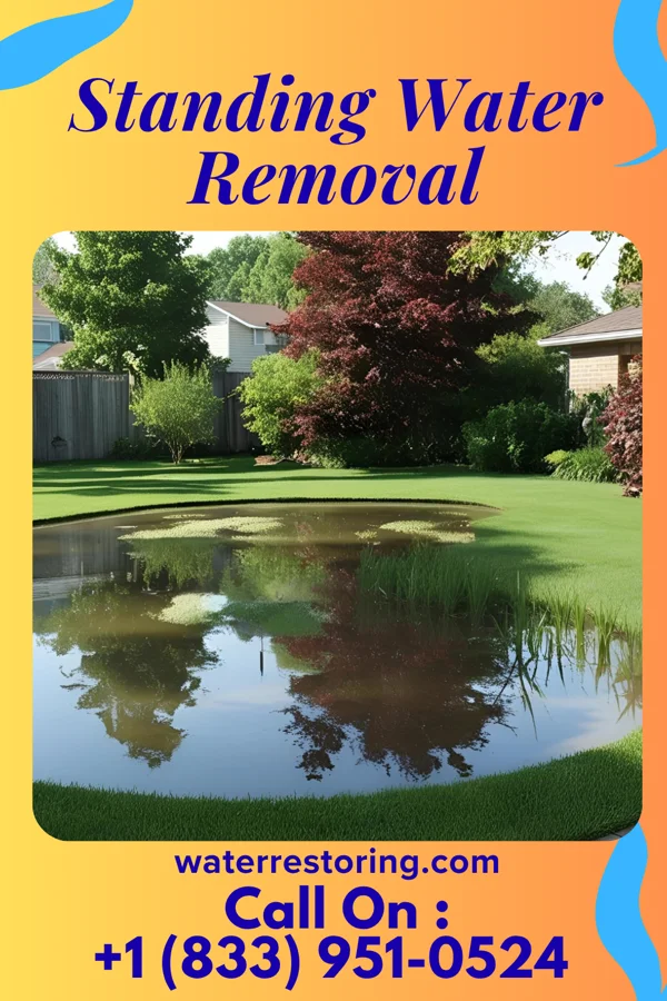 Standing Water Removal in Lilly, PA